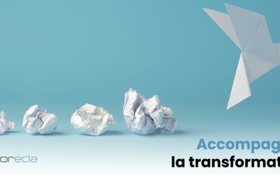 Accompagner la stratégie de transformation